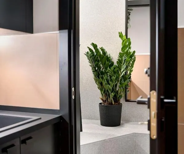 Luxury Trevi House Appartamento Roma